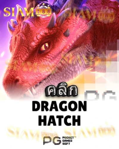 ทดลองเล่นสล็อต dragon-hatch จาก siam188
