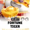 ทดลองเล่นสล็อต fortune-tiger จาก siam188
