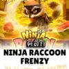 ทดลองเล่นสล็อต ninja-raccoon-frenzy จาก siam188