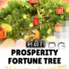 ทดลองเล่นสล็อต prosperity-fortune-tree จาก siam188