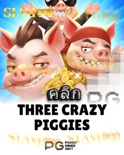 ทดลองเล่นสล็อต three-crazy-piggies จาก siam188