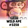 ทดลองเล่นสล็อต wild-ape-3258 จาก siam188